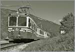 Der SSIF ABe 8/8 22  Ticino  als Regionalzug nach Re unterwegs bei der Ankunft in Verigo.