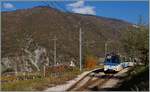 Ein SSIF (Società Subalpina di Imprese Ferroviarie) Treno Panoramico ABe 12/16 (ABe/P/Be/Be) in Verigo auf der Fahrt nach Domodossola.