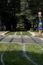 Habe die Geoposition mit dazu eingepflegt. Oftmals fahren die Strassenbahnen schön zwischen Bäumen neben den Hauptstrassen in Mailand, und man bekommt den Eindruck man befindet sich in einem Wald. Mailand am 2. September 2026. 