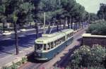 Roma ATAC Linea tranviaria SL ED (Gelenktriebwagen TAS 7041) Monte Celio / Via di San Gregorio am 23. August 1970. - Auf der anderen Seite der Straße befindet sich der Palatin (Mons Palatinus / Monte Palatino), wo die römischen Kaiser (ab Kaiser Tiberius) große Paläste errichten liessen. Das Wort 'Palast' hat seinen Ursprung im Namen dieses Hügels. - Scan eines Diapositivs.