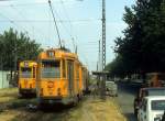 Torino / Turin ATM SL 90 (Tw 3186) / SL 18 (Tw 3157) Corso Luigi Settembrini im August 1984.