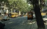 Torino / Turin ATM SL 18 (Tw 3229 / Tw 3177) Corso Vittorio Emanuele II im August 1984.