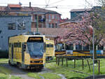 Am 30.03.2023 wendet Fahrzeug 4936 in der Wendeschleife an der Haltestelle V.le Ungheria und wird sich gleich auf der Linie 27 nach Piazza Fontana aufmachen.