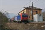 Die SBB Re 484 019 fährt mit einem Güterzug auf der RFI Strecke 14 bei Cuzzago nach Novara.