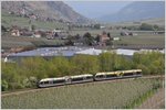 2 x Stadler GTW/ATR 100 bei Kastelbell/Castelbello im Vinschgau/Val Venosta.(16.04.2016)