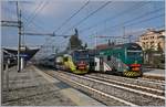 Zwei Trenord Ale 711 treffen sich in Gallarate.