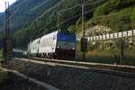 FS-Trenitalia E 652 096 und eine unbekannte E 652 mit KLV-Zug in Richtung Verona (Colle Isarco/Gossensaß, 02.09.10).