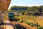 Triebzug  Accum  mit Energiebezug aus Energiespeicher in Kônoyama mit einem grossen Kuhstall im Hintergrund. 15.Oktober 2016. 