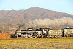 Die Lok C57 180 wurde 1946 gebaut und im November 1969 ausgemustert. Danach war sie in einem Schulhof ausgestellt. Seitdem sie 1999 wieder betriebsfähig hergerichtet wurde führt sie regelmässige Sonderzüge von der Stadt Niitsu in der Praefektur Niigata am Japanischen Meer aus. Im Bild Lok C57 180 an einem Zug von Aizu Wakamatsu hinunter nach Niitsu. Shiokawa, 15.November 2025
