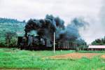 C56 92 mit einem Lokalgüterzug bei Aoshima im Südosten von Kyûshû, 13.August 1972.