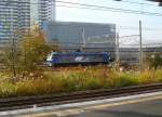 EF210 - die Güterzugslokomotiven der Pazifikküstenlinie: Zwischen herbstfarbenen Gräsern und Wohnblöcken steht EF210-140 im Rangierfeld von Shin-Kawasaki bei Tokyo, 27.November 2009. An der Seitenwand sieht man die Anschrift JRF (=JR Freight) Momotarô.