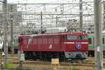 E-Lok EF81-80 der JR East, mit Kopfschild  CASSIOPEIA , am 11.06.2022, Oku Wagendepot.