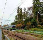 Serie 231 für weite Distanzen um Tokyo herum (Serie 231-1000): Zug 231-8037 in Kita Kamakura auf der Miura-Halbinsel südöstlich von Tokyo, am Eingang des Engakuji-Tempels. 30.November 2011. YOKOSUKA-LINIE
