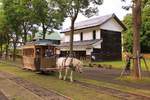 Die Pferdebahn des Freilichtmuseums von Hokkaidô bei Sapporo: Ein Zug in voller Fahrt in der Hauptstrasse, 31.Juli 2016.