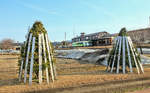 Yuri Kôgen Bahn - die Bäume schön geschützt vor dem grossen Schnee.