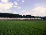 Zwei Monate später als das Bild weiter unten vom 24.Juni: Jetzt am 25.August sind die Reispflanzen schon gut gewachsen. Dahinter zieht ein Tôbu-Vorortszug vorbei. Ogawamachi, 25.August 1983. 