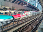 Ein Akita Shinkansen steht im Bahnhof Tokyo zur Abfahrt bereit in Richtung Akita.