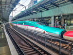 Ein Tohoku Shinkansen steht im Bahnhof Tokyo zur Abfahrt bereit in Richtung Shin-Aomori.