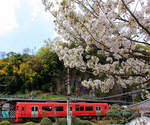 Triebwagen KIHA 220-204 von JR Kyûshû in Bungo Taketa, 3.April 2018    HÔHI-HAUPTLINIE