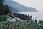 Japanische Dampflokomotiven C57 auf der Südinsel Kyûshû: Ganz im Süden bei Ryûgamizu fährt C57 65 mit einem Güterzug Richtung Kagoshima. 12.August 1972 