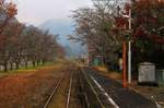 Frühling und Herbst in Japan: Tsukida, 8.November 2017.