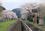 Frühling und Herbst in Japan: Tsukida, 7.April 2015.