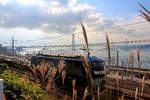 Blick von der S-Bahnlinie durchs Kansai-Gebiet auf die Grosse Brücke über die Akashi-Meeresenge. Hinter schönen herbstlichen Susuki-Gräsern fährt auf der obersten Doppelspur-Ebene ein Güterzug mit Lok EF 210-137 in Asagiri durch.  6.November 2018 
SANYÔ HAUPTLINIE 
