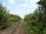 Trotz der miserablen Gleise und der starken Schienenste fahren die Bamboo Trains brigens bis zu 50 km/h! Battambang, 08.01.2013.
