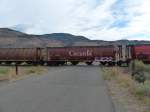 Ein Getreidetransportwagen der CN am 02.09.2013 an einem Bahnhübergang bei Juniper Beach Provincial Park.