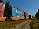 Einige Containerwagen in einem Güterzug der Canandian National am 03.09.2013 bei Lucerne.