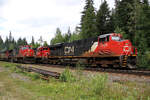Kurz darauf mussten wir unser Gespr�ch unterbrechen: CN-Lok 2660 �berholt Loks 2117 und 2326! Blue River, 3.8.2012