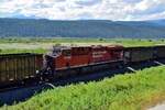 Zwischen Golden und Brisco im weitem Tal zwischen den Rocky Mountains konnte ich aus dem Wohnmobil heraus meinen ersten kanadischen Güterzug fotografieren.