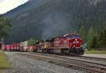 In Field konnte ich mir einen Blick auf den Bahnhof nicht verkneifen. Nicht lange und es kam ein Containerzug mit 8003 ,7019 als Zugloks durch Field gen Lake Louise.

Field