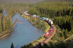 Gemischter G�terzug in der weltber�hmten Morant's Curve in der Morgensonne.