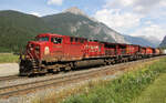 Geballte CP-Kraft in wundersch�ner Landschaft: Gemischter G�terzug bei Field, BC, 11.8.2012