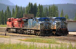 Zwei blau-rote Doppelloks warten auf ihren n�chsten Einsatz. Field, BC, 11.8.2012