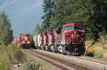 Der Lokf�hrer zieht sich zur�ck, der Containerzug rast mit h�her Geschwindigkeit heran. Revelstoke - Sicamous, 13.8.2012