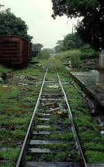 Okzidentexpress (II). Die Gleislage der Westbahn in Kolumbien war nach 7 Jahren Stillegung suboptimal... und wer weiß, was da vorher noch passiert war. Hier die Ausfahrt aus dem Bahnhof Cali Richtung Süden, die Strecke schlägt dann einen Haken nach Osten Richtung Palmira. (April 1998)