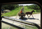 Blick aus dem Fahrgastraum hinter dem Führerstand: Gefährliche Situation? Nein, unser Triebwagen hält an einem Unterwegsbahnhof der Hershey-Bahn zwischen Camilo Cienfuegos und Jaruco, das Pferdegespann kann das Gleis in aller Ruhe überqueren. Camilo Cienfuegos - Jaruco, 11.02.2017