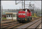 CFL Cargo 310, eine DE 18 von Vossloh, hat am 24.5.2023 um 17.10 Uhr einen Schrottzug in den Werkbahnhof in Belval Universite geschoben und kehrt nun von dort zurück.