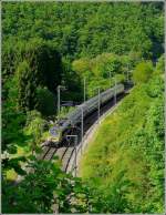 Ist das ein blhender Ginsterstrauch in der grnen Landschaft? Nein, es ist die 3012 mit dem IR Liers-Luxemburg kurz vor der Einfahrt in den Tunnel  Kirchberg  in Kautenbach.