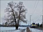 Der einzige einzelne Baum, der entlang des Wanderweges zwischen Lintgen und Mersch steht, konnte ich am 05.12.2010 zusammen mit dem IR 115 Liers-Luxembourg in der Nhe von Rollingen ablichten. (Jeanny) 