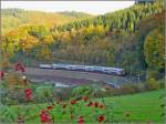 RB 3217 kommt am 09.10.08 aus Kautenbach und fhrt durch die schne Herbstlandschaft dem Endbahnhof Wiltz entgegen.