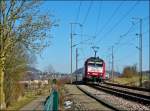 . ber den Zaun geschaut - In Obercorn begegnete mir die 4003 mit der RB (Regionalbunn) 6863 Luxembourg - Rodange  am Haken, whrend sich im Hintergrund die Ortschaft Soleuvre in der frhlingshaften Wintersonne ausbreitet, flankiert von dem 422 Meter hohen Zolverknapp (links, teilweise von dem Baum verdeckt) und dem 403 Meter hohen Bielesser Gaalgebierg  (rechts, etwas vom Zug verdeckt). 04.03.2013 (Jeanny)