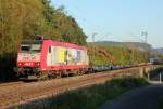 CFL 4017 in Bonn Limperich am 04.10.2014