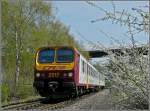 Auf der Stichstrecke Ettelbrck-Diekirch fhrt am 25.04.10 der Triebzug Z 2017 an den blhenden Weidornhecken und den grnenden Birken vorbei.