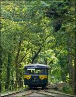 - Uerdinger im Wald - Der Uerdinger Schienenbus 551 669 der Museumsbahn  Train 1900  erreicht am 23.09.2012 die Kreuzungsstelle Fuussbsch. (Jeanny)