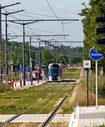 Die Wildnis in Luxembourg-Kirchberg - Leider hat man vergessen die im letzten Herbst angelegte Allee fr das Straenbahn Gleisbett zu pflegen, sodass sich der LUXTRAM S.A.