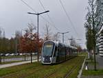 An einem der letzten mit Herbstlaub behangenen Bäume fährt die Straßenbahn 127 der Endhaltestelle „Luxepo“ entgegen.