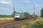 Mit einem BlackBoxx-Zug am Haken rollt 186 127 der alpha trains am 04.07.23 durch Wittenberg-Labetz Richtung Dessau.